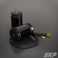 6495 SKP Motors